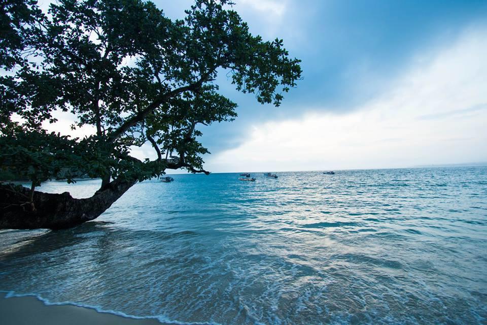 Masokut Mentawai Ebay Playground Surfcampヴィラ エクステリア 写真