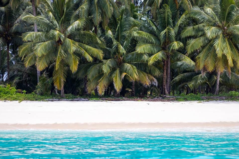 Masokut Mentawai Ebay Playground Surfcampヴィラ エクステリア 写真